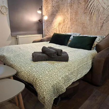 L'elegant Hyper Centre Daire